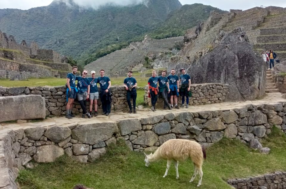 Llamas en Machu Picchu