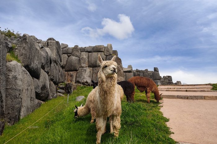 Viaje a Cusco Inolvidable