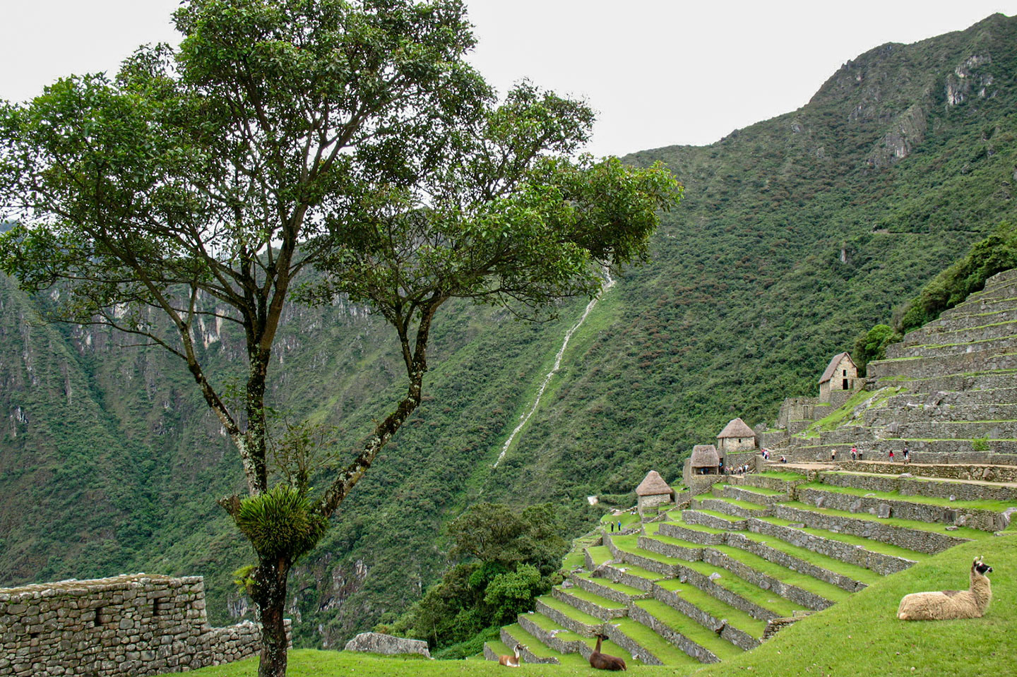 Mejor fecha para viajar a Machu Picchu Mejor fecha para viajar a Machu Picchu
