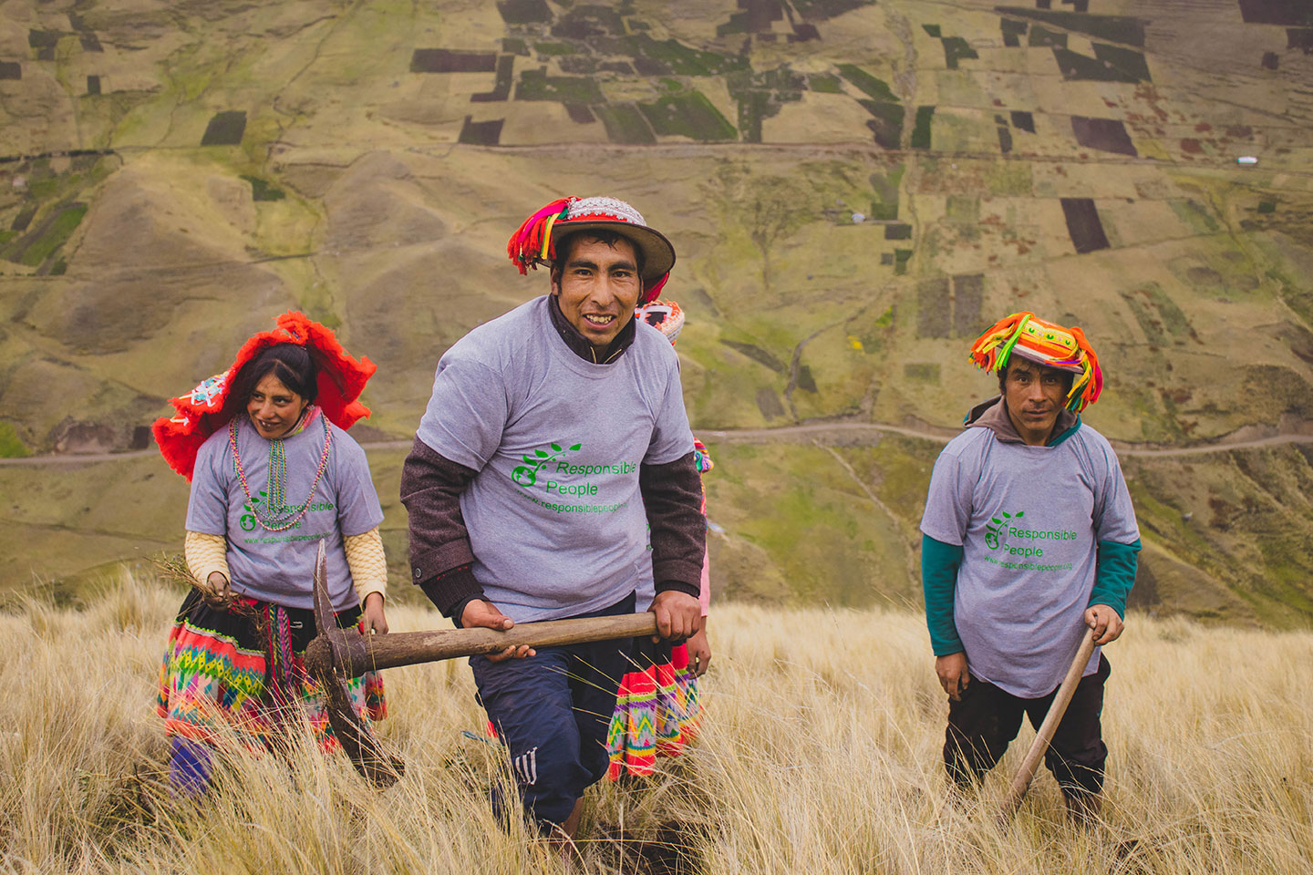 Reforestación con Árboles Nativos