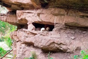 Tour Acantiladosde Tecsecocha Perú