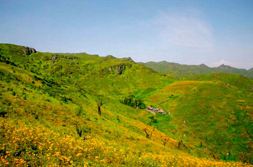 Lomas de Lachay: 4 datos para conocer esta Reserva Nacional en familia