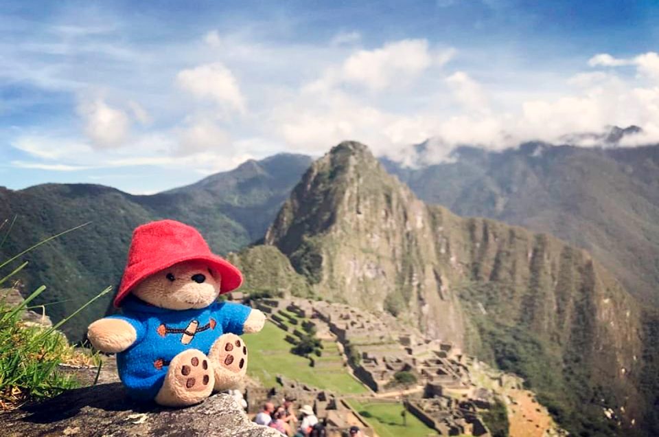 Pandigton-en-Peru